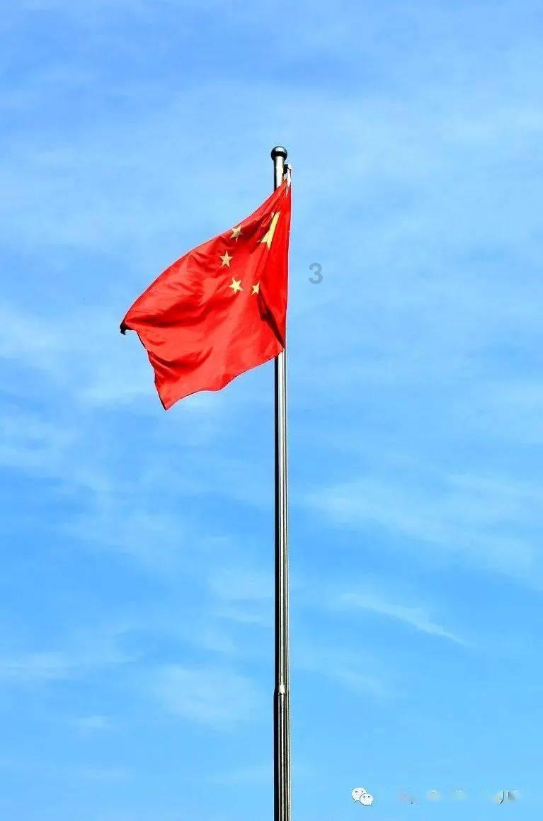 为什么有人讨厌吃香菜？游戏画面